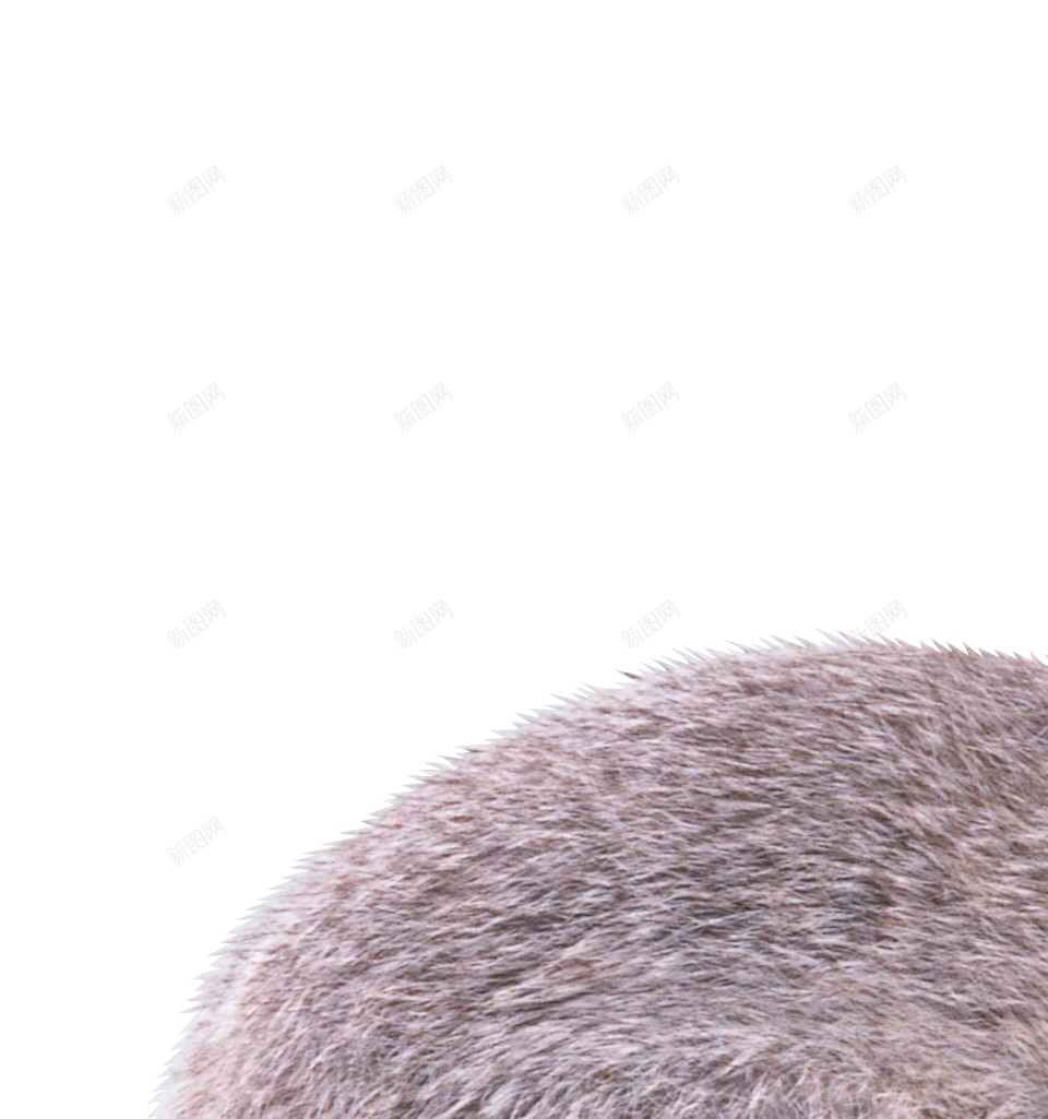 兔野兔png免抠素材_88icon https://88icon.com 兔 野兔