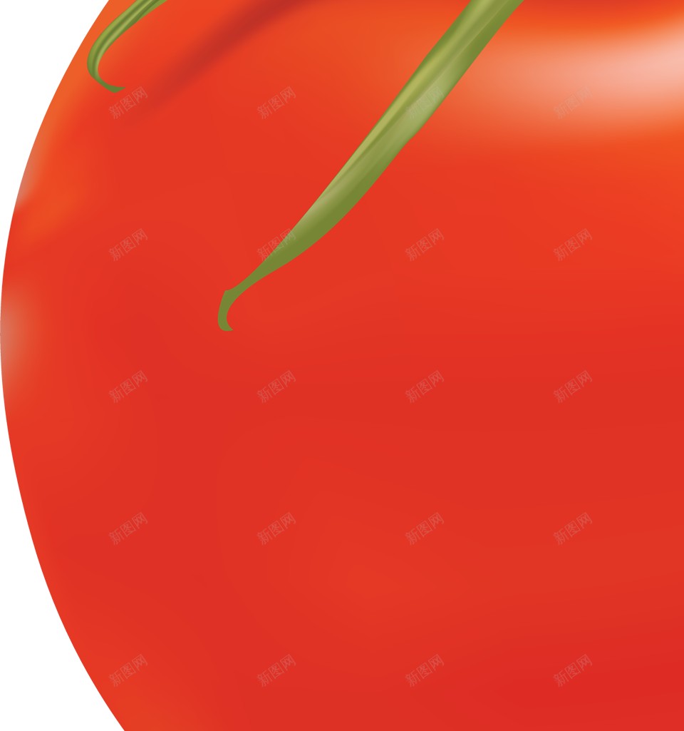 番茄西红柿png免抠素材_88icon https://88icon.com 番茄 西红柿