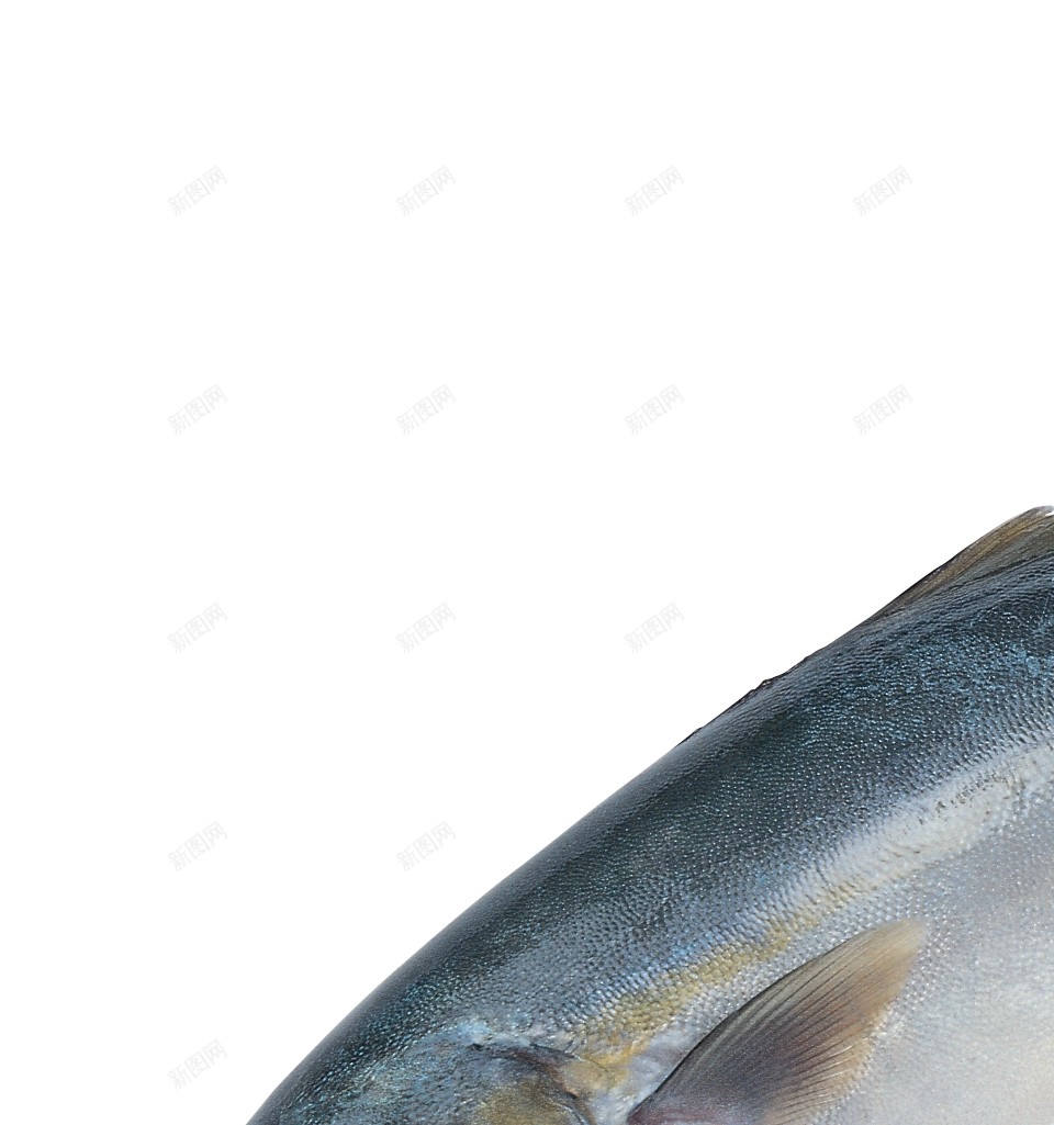 鱼鱼肉png免抠素材_88icon https://88icon.com 鱼 鱼肉