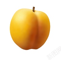 杏子杏png免抠素材_88icon https://88icon.com 杏 杏子