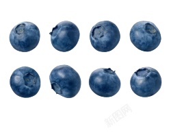 越橘蓝色浆果蓝莓blueberry的复数png图片下载 越橘蓝色浆果蓝莓blueberry的复数素材