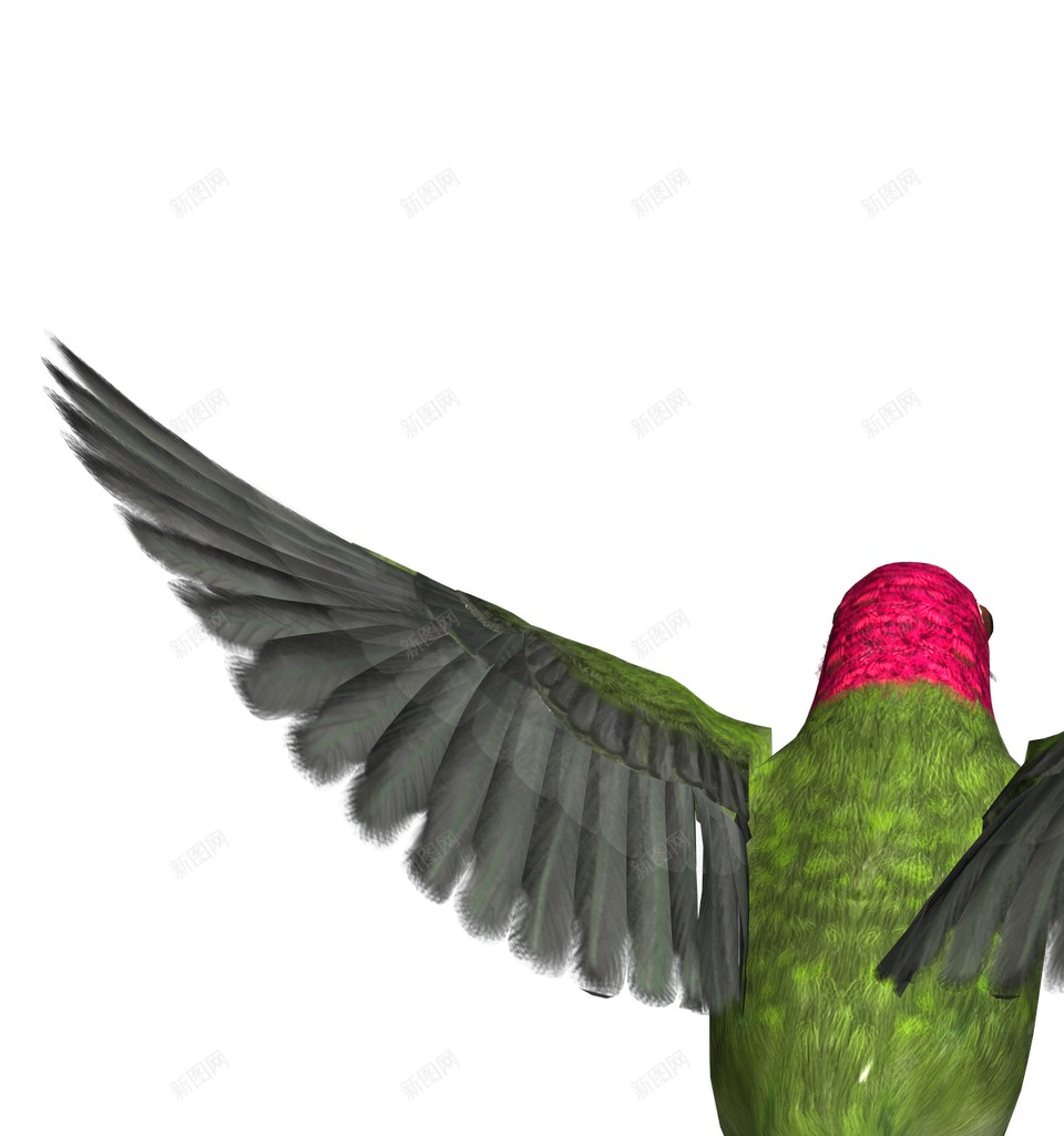 飞鸟的插图png免抠素材_88icon https://88icon.com 飞禽图画 空气背景 绘画 飞行 飞翔 鸟飞背景 燕子 飞鸟 鸽子 大雁 鸟类插图