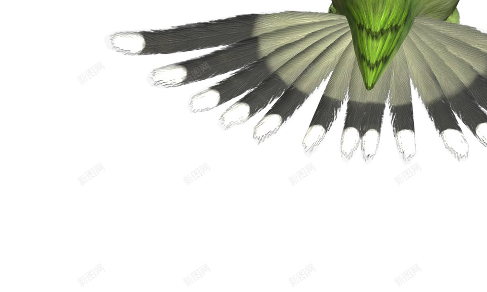 飞鸟的插图png免抠素材_88icon https://88icon.com 飞禽图画 空气背景 绘画 飞行 飞翔 鸟飞背景 燕子 飞鸟 鸽子 大雁 鸟类插图