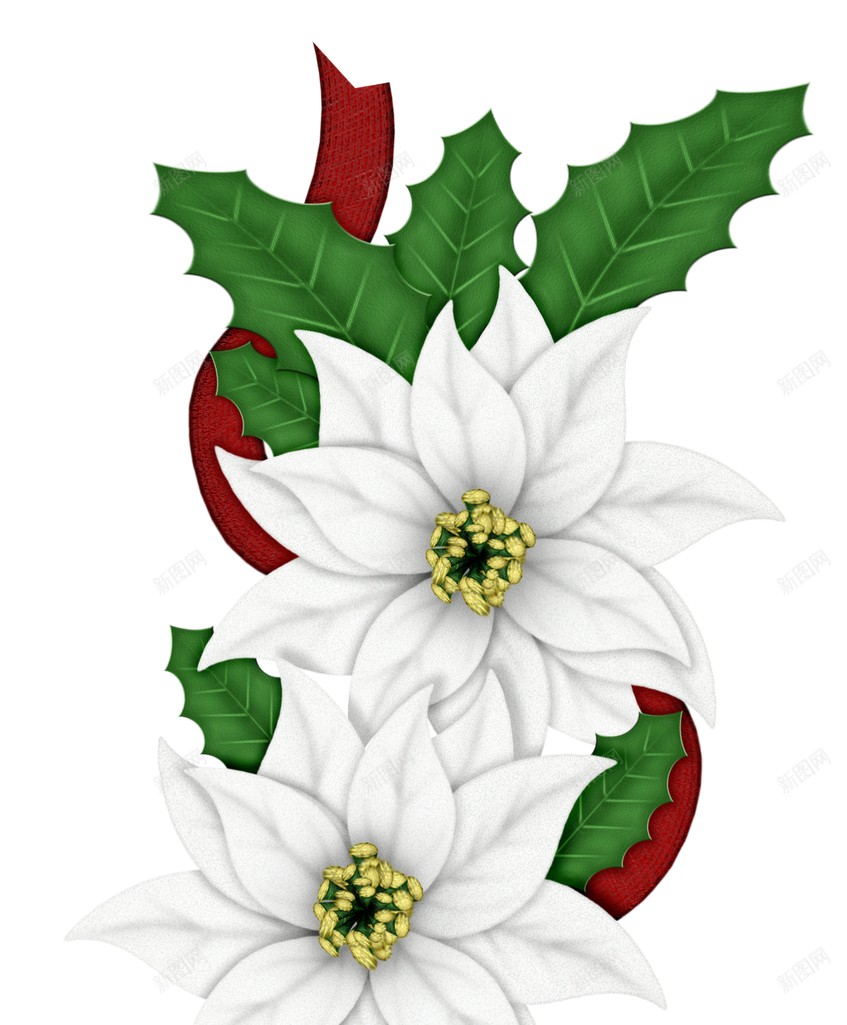 火绒草雪绒花png免抠素材_88icon https://88icon.com 火绒草 雪绒花