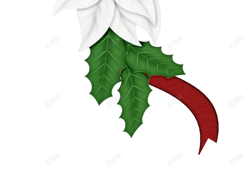 火绒草雪绒花png免抠素材_88icon https://88icon.com 火绒草 雪绒花