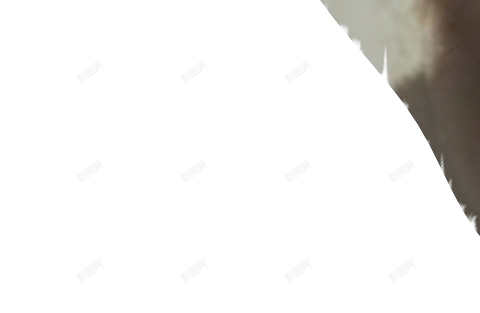 羽毛翎毛png免抠素材_88icon https://88icon.com 羽毛 翎毛