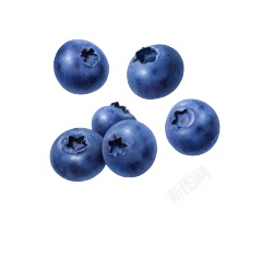 越橘蓝色浆果蓝莓blueberry的复数png图片下载 越橘蓝色浆果蓝莓blueberry的复数素材