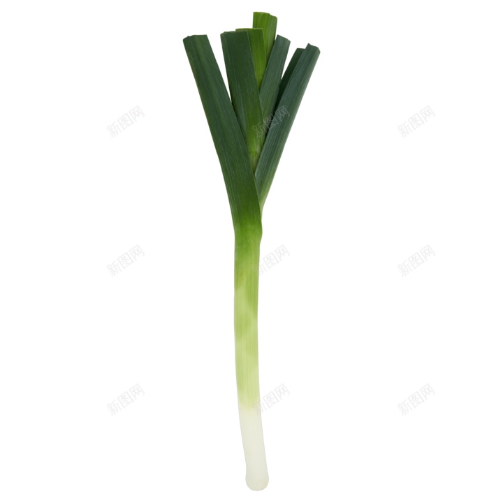 新鲜的青蒜青蒜苗蒜苔图片png免抠素材_88icon https://88icon.com 青蒜 青蒜苗 新鲜 蒜苔 蒜苗 蔬菜