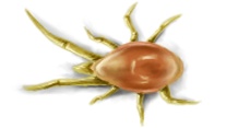 发出滴答声滴答地走时png免抠素材_88icon https://88icon.com 发出滴答声 滴答地走时