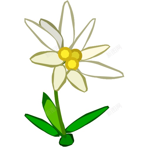火绒草雪绒花png免抠素材_88icon https://88icon.com 火绒草雪绒花