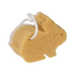 海绵浴或用湿浴巾擦身png图片下载 海绵浴或用湿浴巾擦身素材