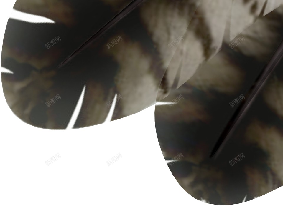 羽毛翎毛png免抠素材_88icon https://88icon.com 羽毛 翎毛