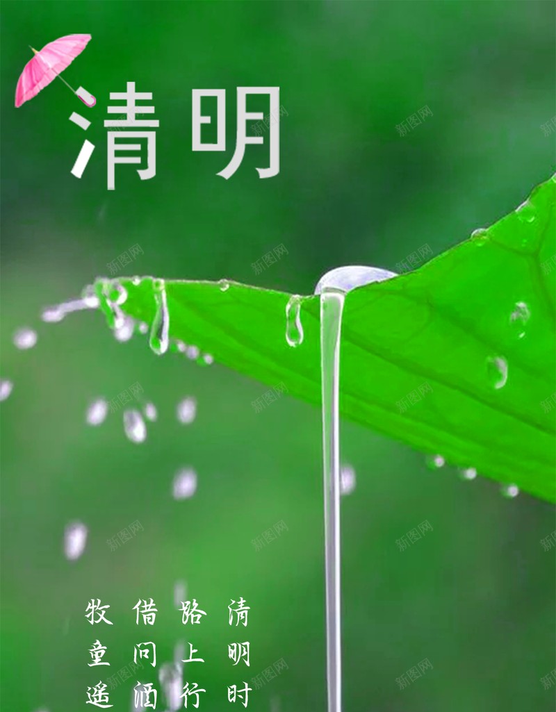 清明时节小雨jpg_88icon https://88icon.com 下雨 初春 初春小雨 清明 荷叶