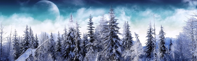 雪松幻月科幻背景jpg设计背景_88icon https://88icon.com 天空 月亮 科幻 蓝色 洁白 梦幻 童话 海报banner 摄影 风景