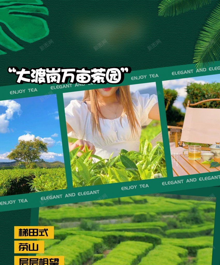 旅游海报jpg_88icon https://88icon.com 万亩 茶园 旅游 茶园茶