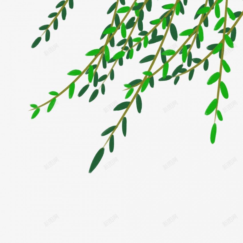 卡通绿色植物端午节柳树元素png免抠素材_88icon https://88icon.com 柳树 柳树元素 柳树素材 柳树装饰 树叶 树叶元素 树叶素材 树枝 树枝元素 端午节