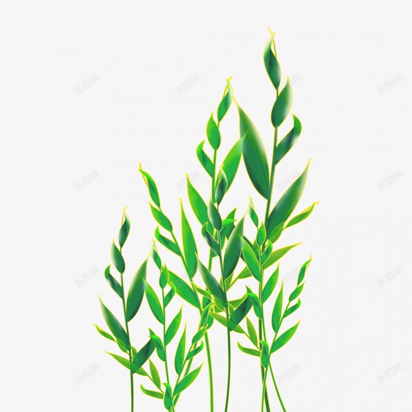 卡通装饰绿色树枝树叶插画元素png免抠素材_88icon https://88icon.com 植物 植物元素 植物素材 植物插画 叶子 绿色 绿叶 叶片 竹叶