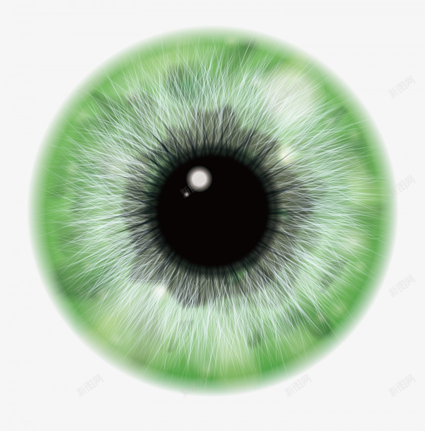 眼睛png免抠素材_88icon https://88icon.com 眼睛