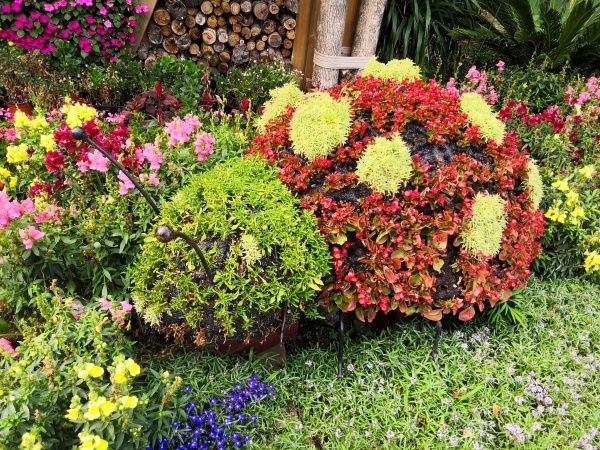 树木植物开花jpg设计背景_88icon https://88icon.com 开花 树木 植物 绿色