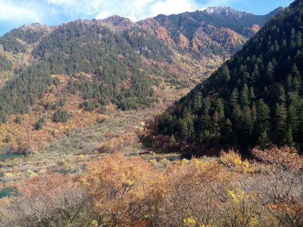 九寨沟清澈见底碧蓝色的湖水青山美景jpg_88icon https://88icon.com 九寨沟 清澈 湖水 美景 蓝色 青山
