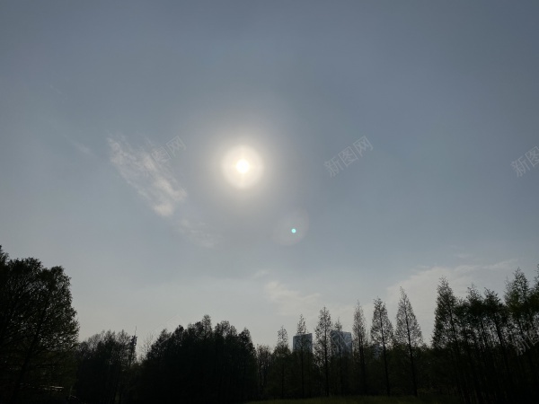 晴朗天空jpg_88icon https://88icon.com 公园 天空 太阳 晴朗 树木