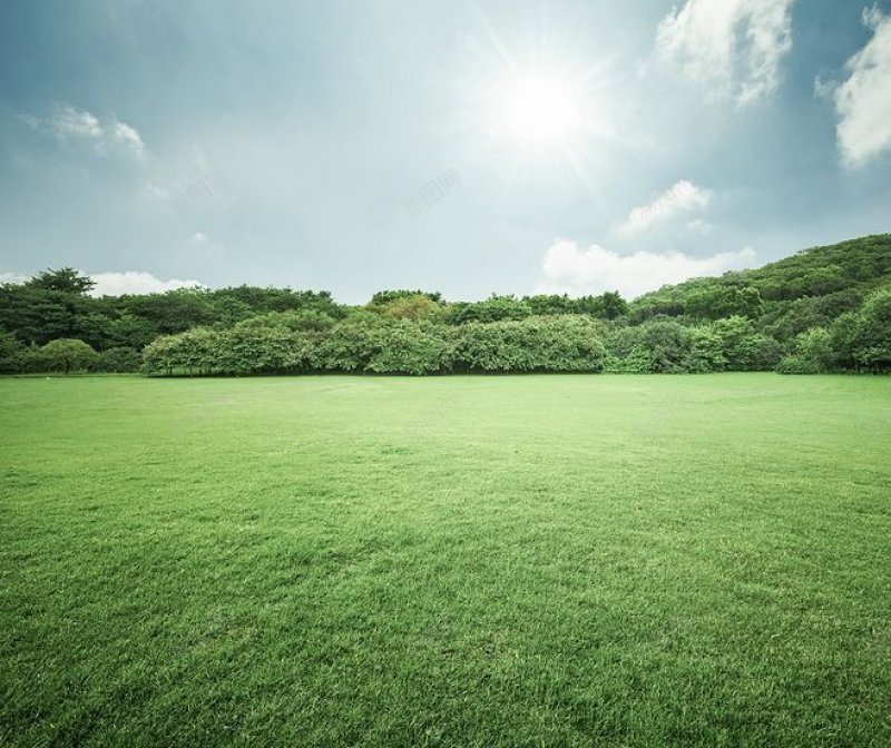 背景草地背景感觉有用之背景jpg设计背景_88icon https://88icon.com 草地背景 高清背景