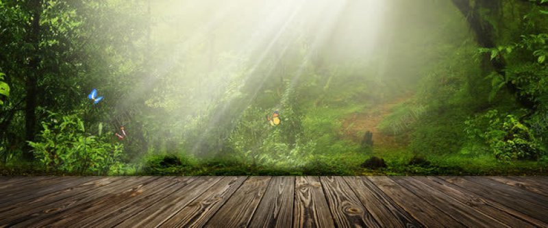 森林背景工作可能jpg设计背景_88icon https://88icon.com 工作可能 森林背景