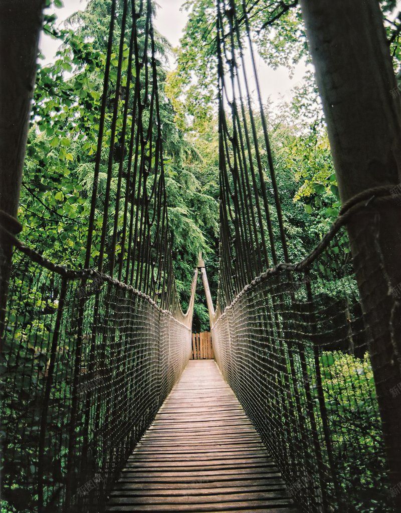 背景背景壁纸背景壁纸墙纸花纹jpg设计背景_88icon https://88icon.com 墙纸 壁纸 素材 背景 背景壁纸 花纹