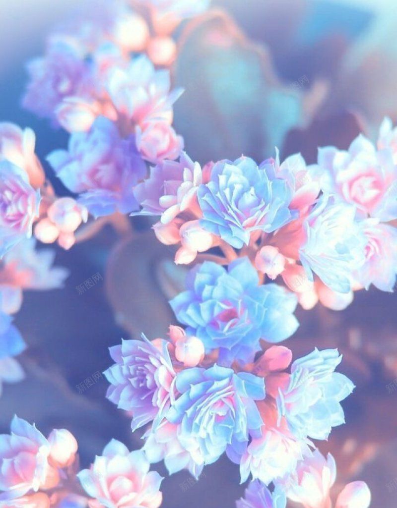 背景背景壁纸背景壁纸墙纸花纹jpg设计背景_88icon https://88icon.com 墙纸 壁纸 素材 背景 背景壁纸 花纹