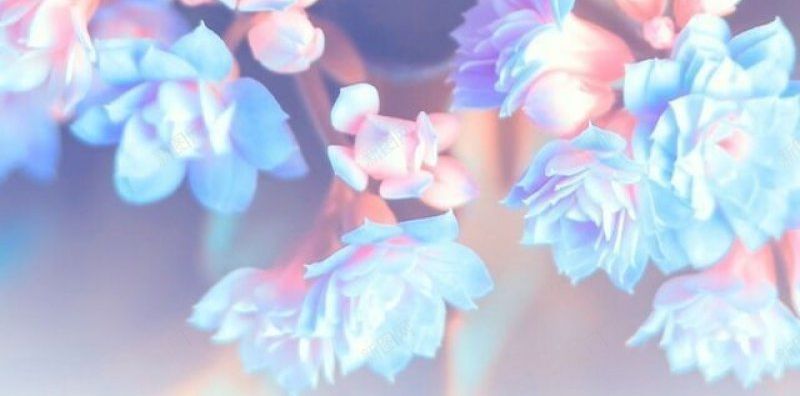 背景背景壁纸背景壁纸墙纸花纹jpg设计背景_88icon https://88icon.com 墙纸 壁纸 素材 背景 背景壁纸 花纹