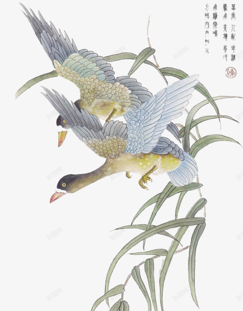 篇工笔花鸟类图二浪漫人生动植物png免抠素材_88icon https://88icon.com 动植物 浪漫人生 篇工笔花鸟类图二