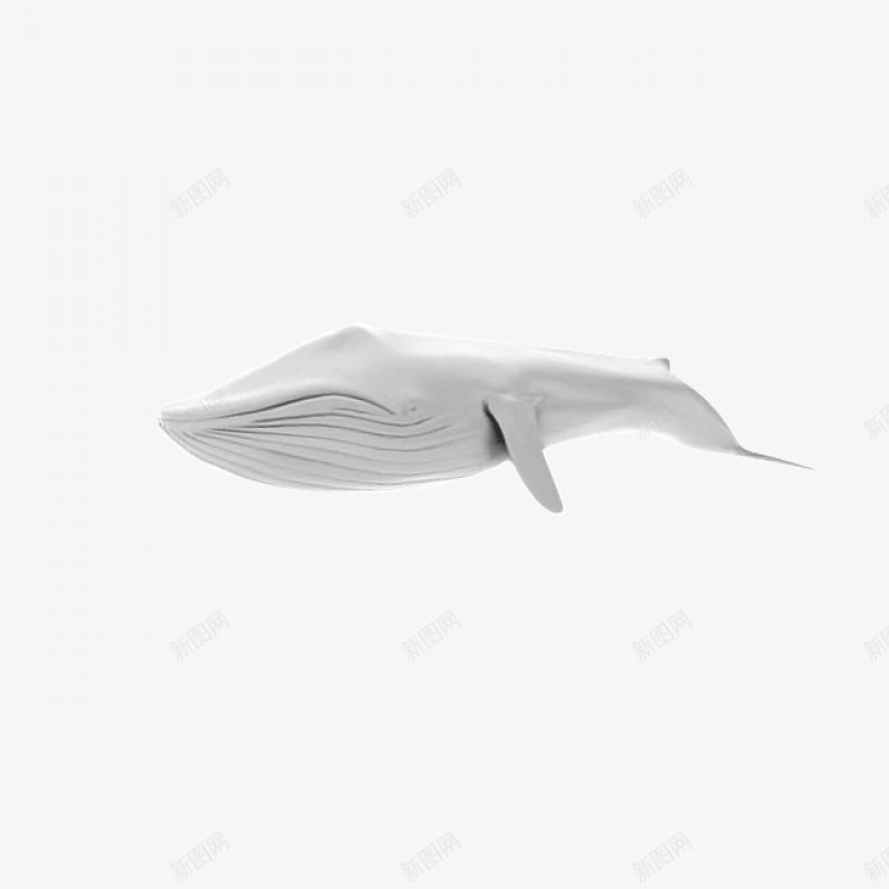 动物鲸鱼手绘素材png免抠素材_88icon https://88icon.com 动物 海洋 鲸鱼 鱼