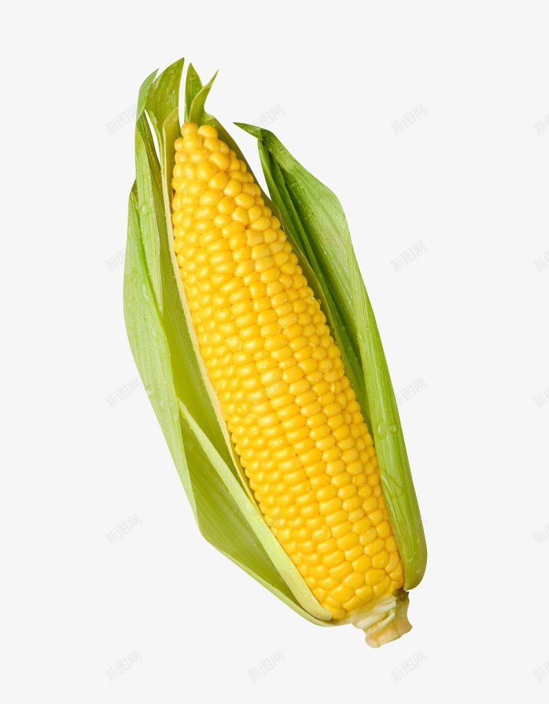 玉米水果蔬菜png免抠素材_88icon https://88icon.com 玉米 设计水果蔬菜