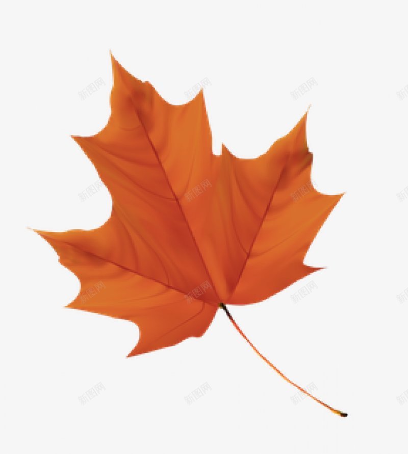 一片飘落的枫叶png免抠素材_88icon https://88icon.com 枫叶素材 秋天 秋天枫叶 落叶 金秋 深秋 飘落素材 黄叶子