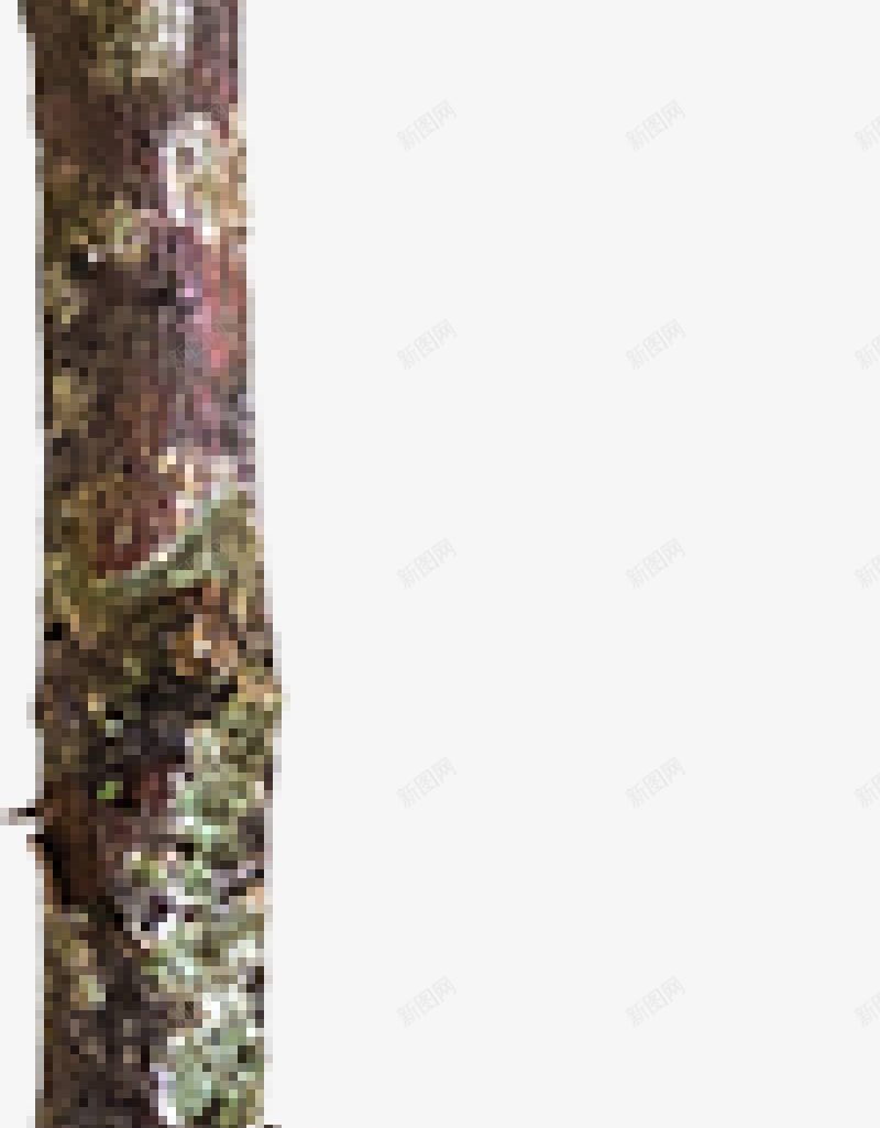 树枝秋季png免抠素材_88icon https://88icon.com 树枝 秋季