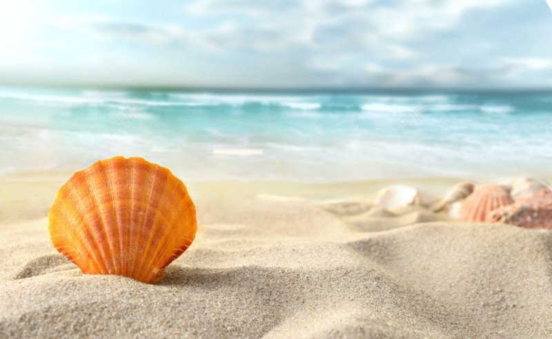 夏天背景夏季背景阳光沙滩背景jpg设计背景_88icon https://88icon.com 夏天背景 夏季背景 阳光沙滩背景