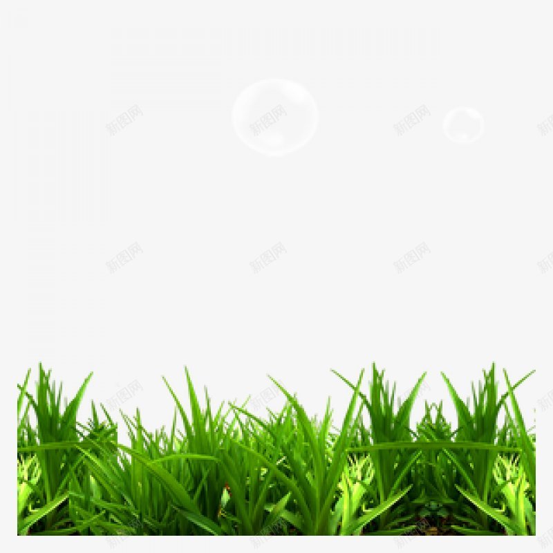 草坪草地草原小草环保树木绿色草丛摄影后期元素查看来png免抠素材_88icon https://88icon.com PNG素材 免抠素材 小草 摄影后期 绿色 草丛 草原 草地 草坪