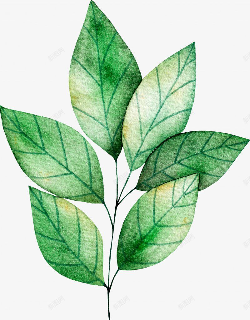 植物花卉植物花纹抽象花朵抽象花卉信纸png免抠素材_88icon https://88icon.com 手绘剪贴画 植物剪贴画 叶子树叶 蓝花花草 装饰性的 装饰花环 作图 树叶 植物 花环 花礼 蓝色