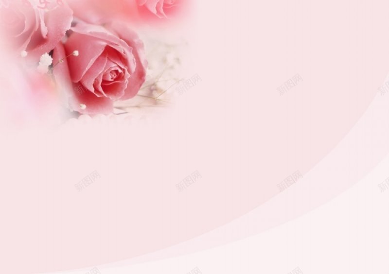 玫瑰花底纹背景溶图渐变jpg设计背景_88icon https://88icon.com 溶图渐变 玫瑰花底纹背景图片