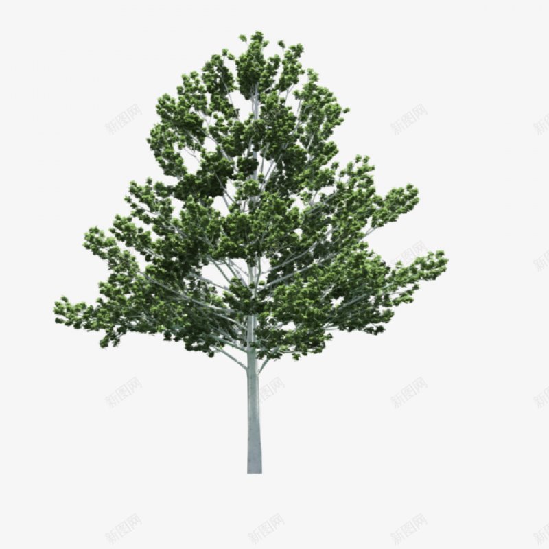 大树灌木吧百度贴吧材质贴图莫西莫西png免抠素材_88icon https://88icon.com 吧百度贴吧 大树 材质贴图莫西莫西 灌木