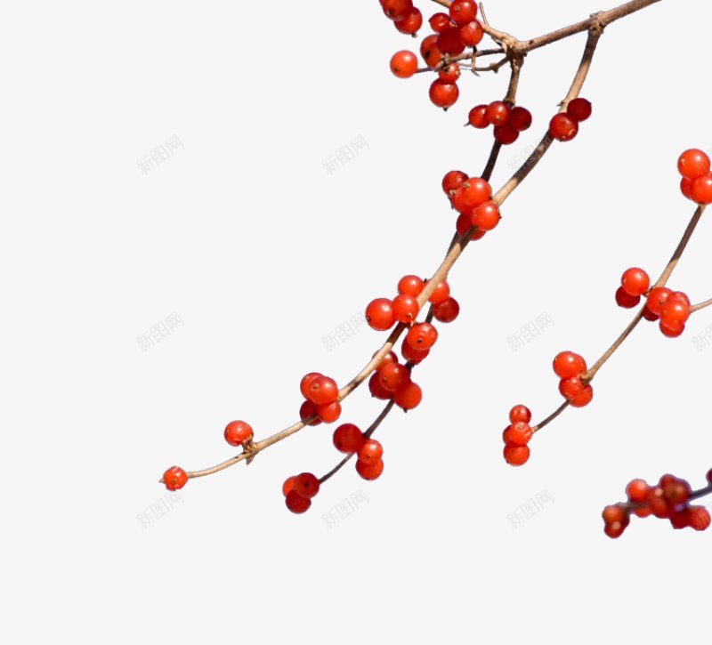 神话仙女嫦娥奔月装饰图案png免抠素材_88icon https://88icon.com 神话仙女风格 中秋人物 仙女嫦娥 古代仙子 嫦娥后羿 嫦娥奔月 织女仙女 中秋节 情人节 七夕 中秋 古风 嫦娥 神仙