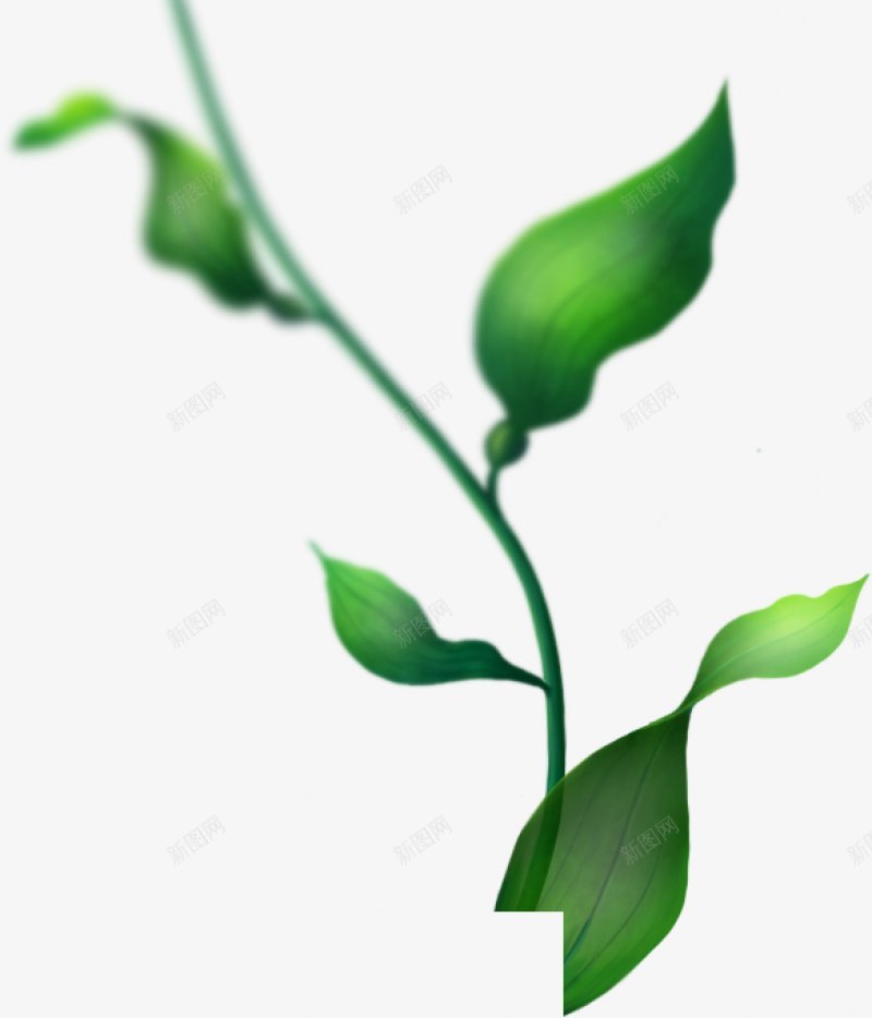 海藻右搜集png免抠素材_88icon https://88icon.com 搜集 海藻右