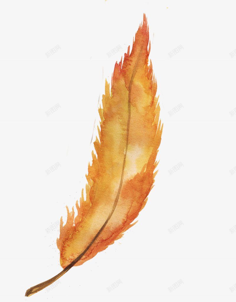 水彩橘黄色羽毛装饰插画png免抠素材_88icon https://88icon.com 水彩画 手绘羽毛 卡通羽毛 棕色 可爱 花羽 唯美绘画 水彩涂 简笔画 装饰插画