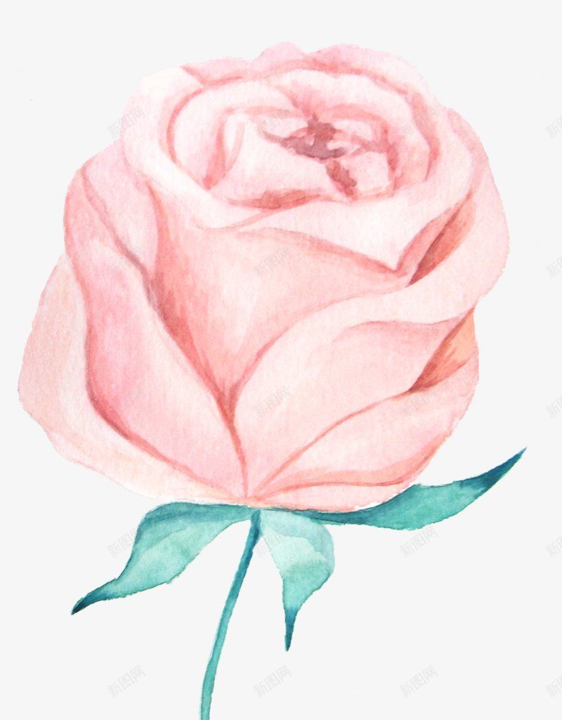 手绘单枝淡红色玫瑰花素材png免抠素材_88icon https://88icon.com 一朵 手绘 春天 枝丫 树枝 淡红 种类 花朵 花枝 花瓣 花苞 花香