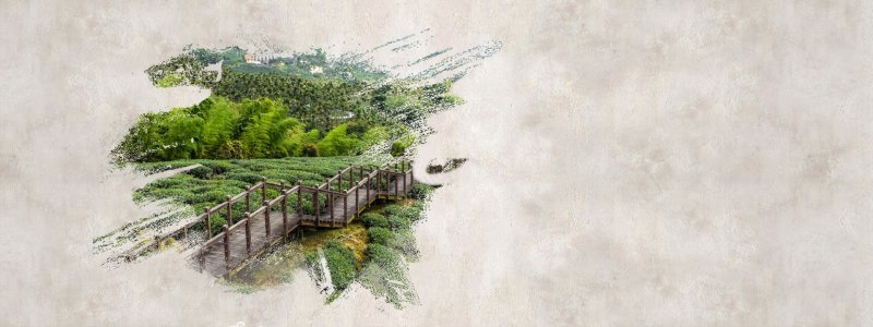 茶叶海报绿色系树叶jpg设计背景_88icon https://88icon.com 绿色系树叶 茶叶海报