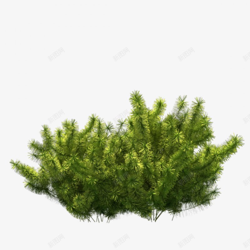 大树灌木吧百度贴吧材质贴图莫西莫西png免抠素材_88icon https://88icon.com 吧百度贴吧 大树 材质贴图莫西莫西 灌木