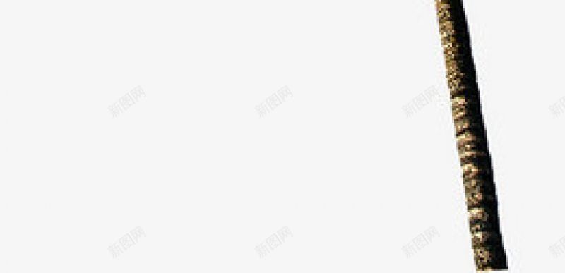 倾斜的椰子树植物花草枝蔓树叶等透明底图jpg设计背景_88icon https://88icon.com 倾斜的椰子树