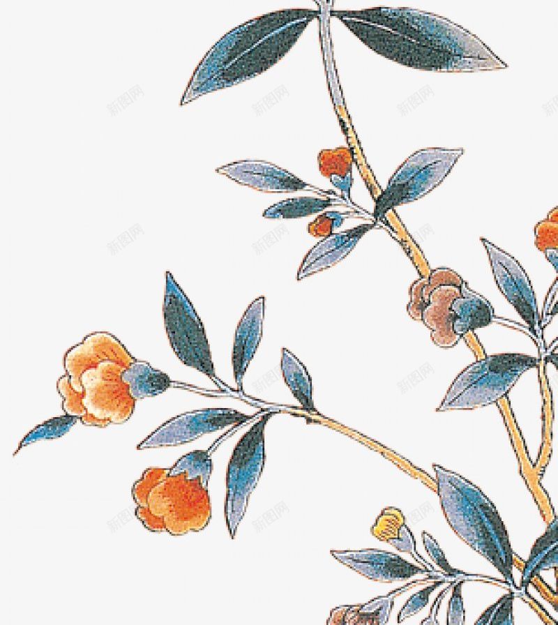 植物叶子鲜花装饰彩铅小清新插画花朵唯美的png免抠素材_88icon https://88icon.com 3植物鲜花 叶子 小清新 彩铅 插画 植物 花朵 装饰 鲜花