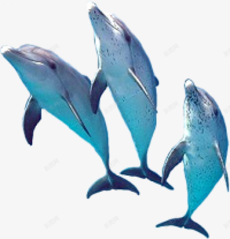 点击右上角加号查看透明透明漂浮双十一双十二火花png免抠素材_88icon https://88icon.com 作品欣赏 家电数码 排版 文案 杂志大师排版 海报 版式设计 男女装 透明已更正待分类