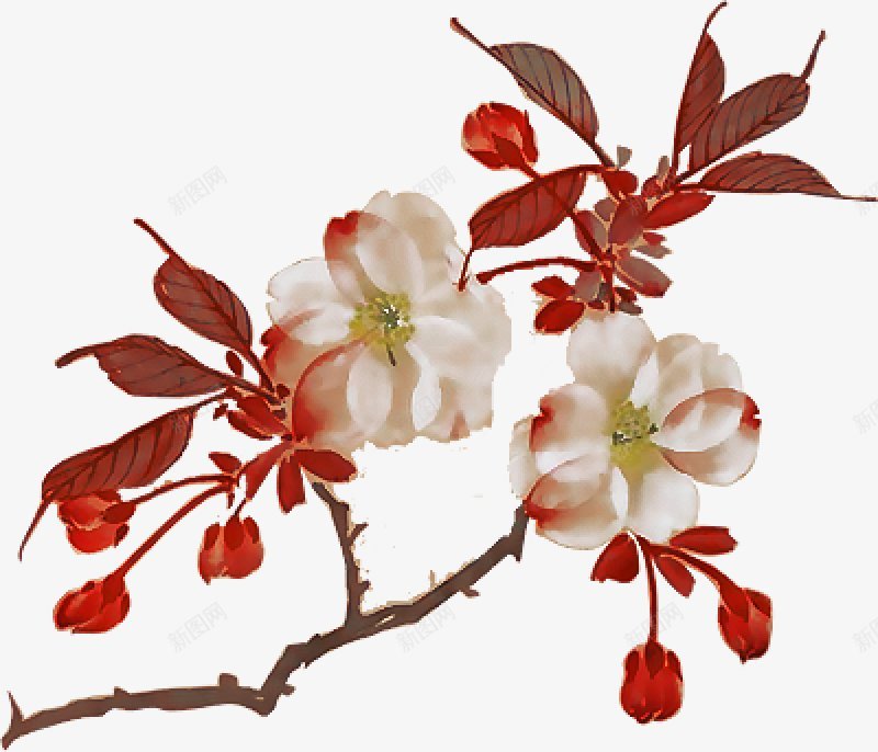 古风综合冰偌的相册植物花枝花簇png免抠素材_88icon https://88icon.com 冰偌的相册 古风综合 植物花枝花簇